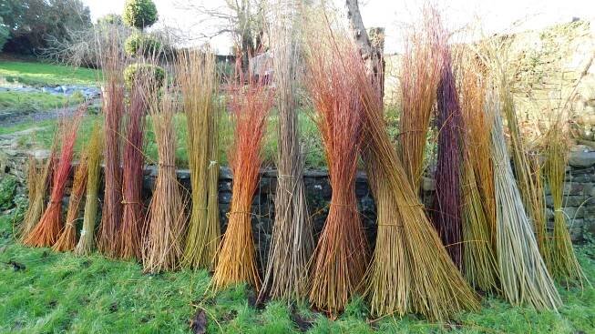 Wild Rose Basketry