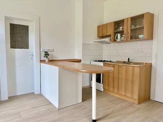 Mladá Boleslav – Pronájem prostorného bytu 1+1, OV, cihla, 65m2, zahrádka – Roin reality