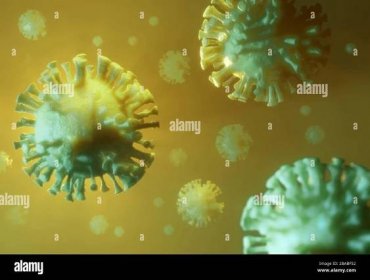 3d coronavirus Chinese covid-19 superbug microscopic bacterial infection representation, 3d illustration Stock Photo