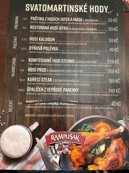 Svatomartinská husa. – Doteky naděje