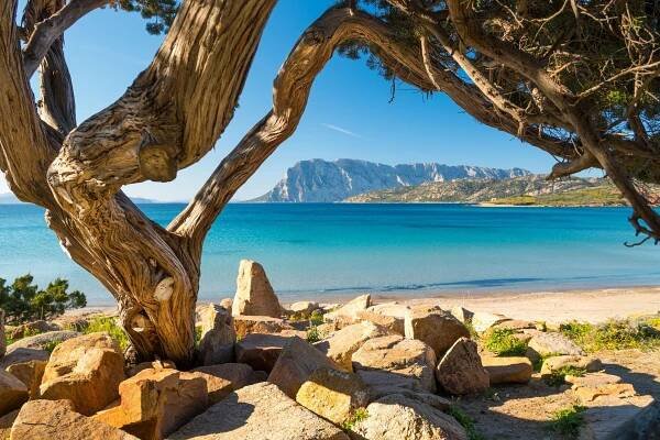 pláž punta capo coda cavallo - san teodoro - sardinie - stock snímky, obrázky a fotky