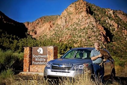 Southwest Wildlife Foundation | Findlay Subaru