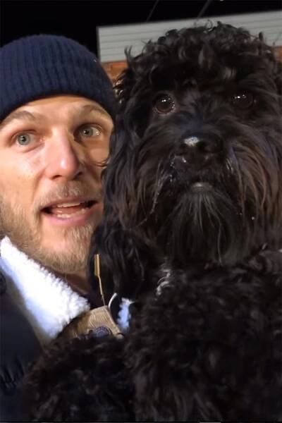 You Actor Travis Van Winkle Injured After Saving Dog from Coyote Attack at Popular Los Angeles Park