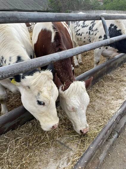 RODINNÁ FARMA & AGROPENZION HÁJENKA - to byl cíl dnešního projektového dne - Oficiální stránky ZŠ a MŠ Cítoliby