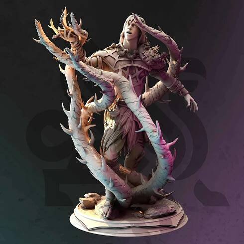 Toraxid Drenth - Swamp Druid - DM Stash