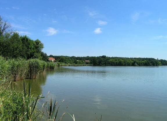 Buňkov