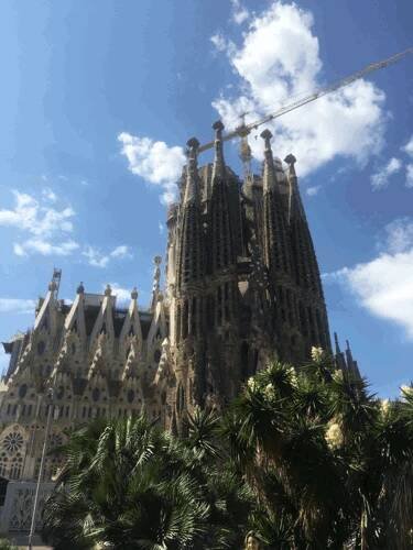 Zprávy Kamily Růtové ze stáže v Barceloně | duncancentre.cz