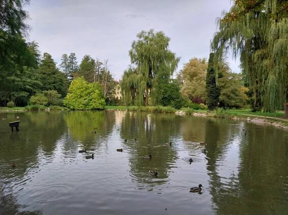Zámecký park v Častolovicích