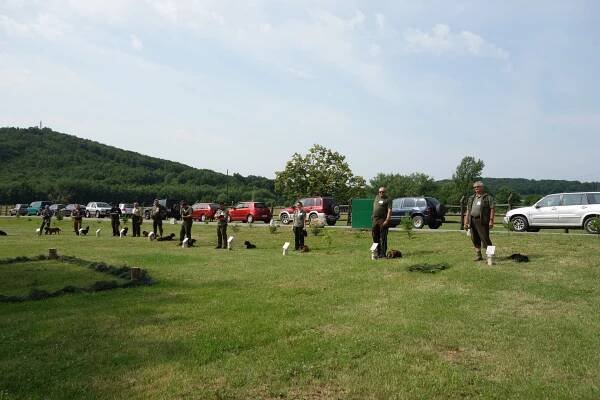 » Klubové farbiarske skúšky malých plemien 25.6.2017
