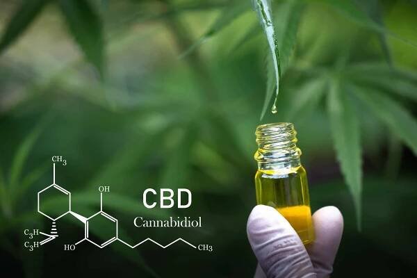 Does CBD Make it Easier or More Difficult to Get High