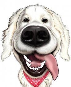 Přehnaný psí karikaturní portrét
