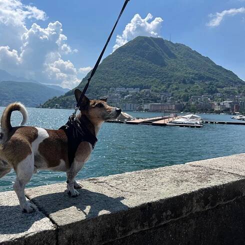 Z Milána: Como, Bellagio a Lugano. | GetYourGuide