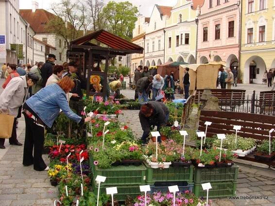 Rok 2009 v Třeboni,na Třeboňsku-fotogalerie webu o Třeboňsku www.trebonsko.cz | Třeboň a okolí - Třeboňsko.cz
