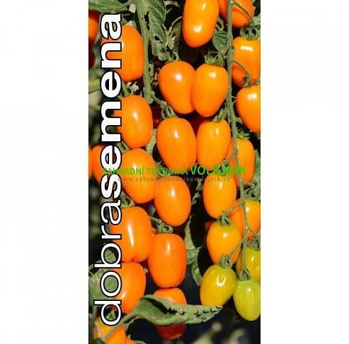 APPLEBERRY ORANGE 6 s