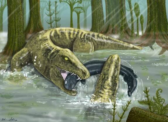At six feet or longer, 340-million-year-old Whatcheeria deltae  was the apex predator of its ancient Iowa ecosystem.