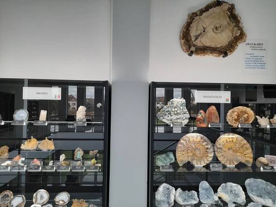 Lepší než Národní muzeum. Návštěvníci obdivují brazilské ametysty i zub mamuta
