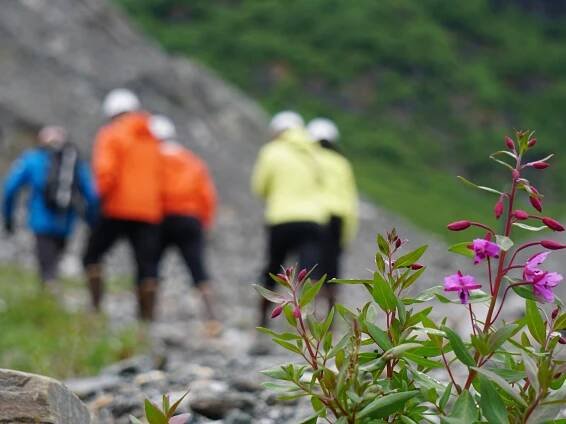 Liquid Alaska Tours (2025) - All You Need to Know BEFORE You Go (with Reviews)