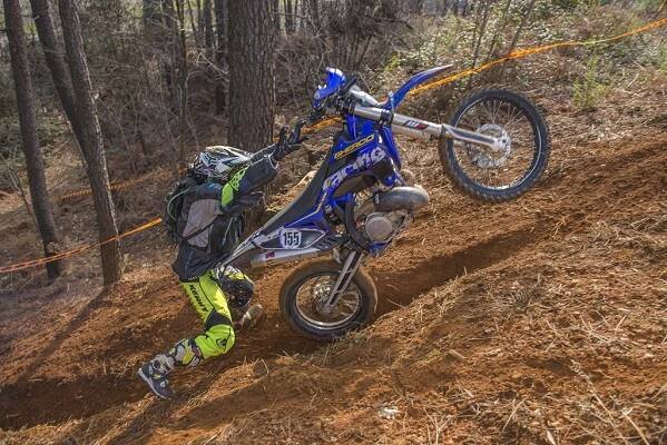 24MX ALESTREM Videos