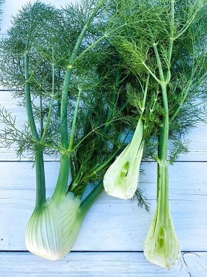 Fennel