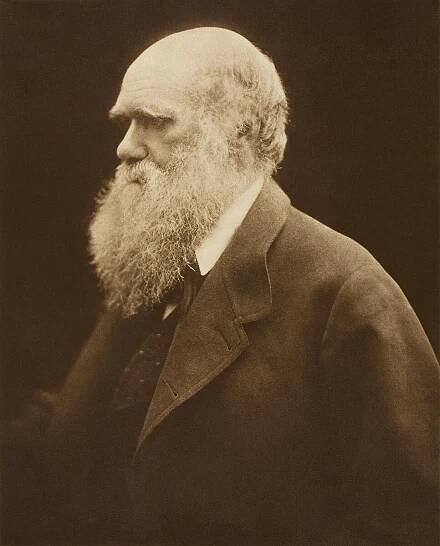 Darwinismus – Wikipedie