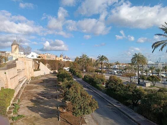 Palma de Mallorca není jen pláž a moře: Co dalšího tam navštívit a vyplatí se jet mimo sezónu? - tucnejpav.cz