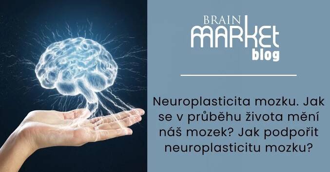 Neuroplasticita mozku. Jak se v průběhu života mění náš mozek? Jak podpořit neuroplasticitu mozku?