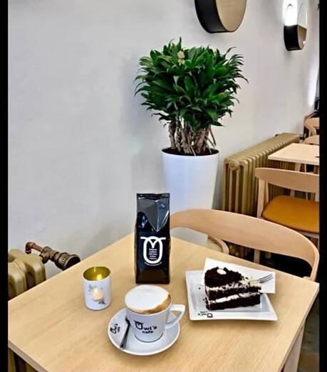 Owl´s cafe Olomouc | Stylová kavárna