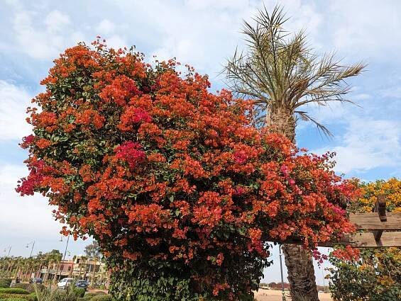 Maroc 2023 – V2XS