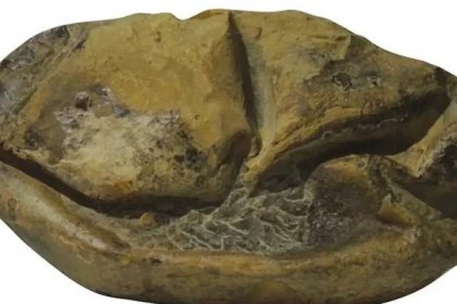 Záhadná kulatá "Věc" z Antarktidy stará miliony let byla konečně identifikována