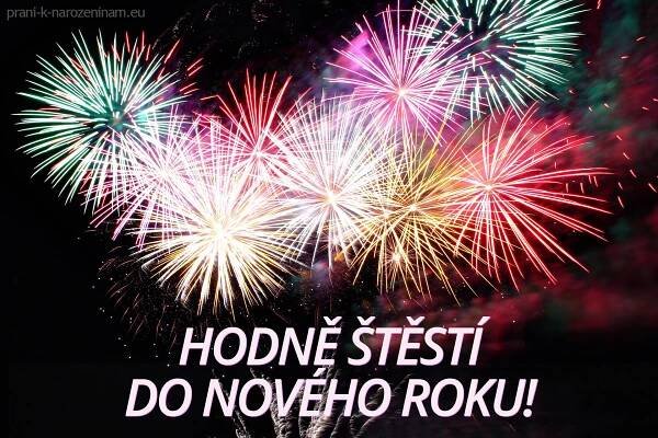 Novoročenka