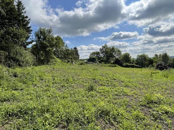 Dobrovice- Prodej stavebního pozemku 2186 m2, – Roin reality