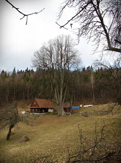 Valašskosenický  