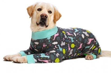Oblečení Pet Recovery Oblek Kabát Košile Body Psí Oblečení Potřeby pro zvířata Psi Kombinéza Psí pyžama