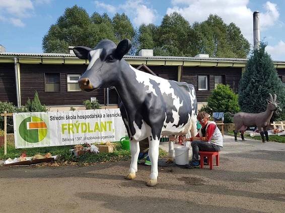 Tradiční Svatováclavská dražba beranů a farmářské trhy na Kozí farmě Pěnčín lákají díky doprovodnému programu množství lidí.