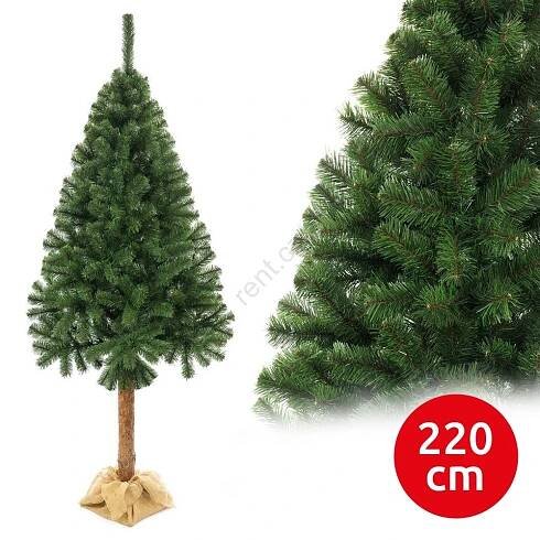 Rozbaleno Vánoční stromek na kmenu 160 cm jedle (bazar)