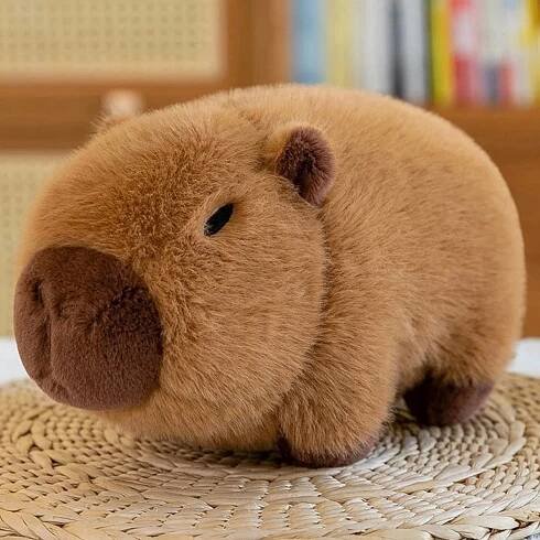 Avocado Capybara 🥑