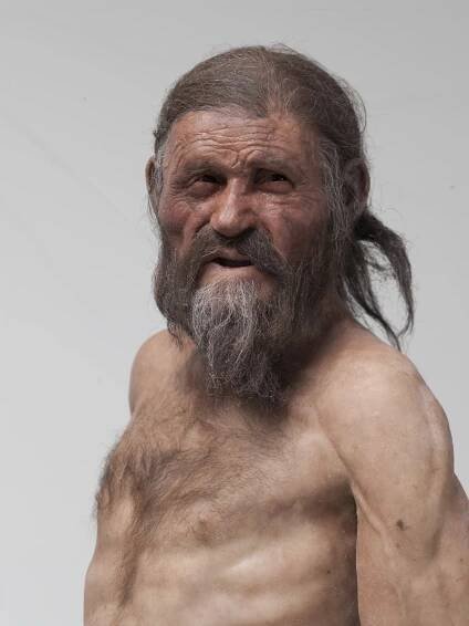 Ötzi the Iceman May Have Suffered Stomach Bug