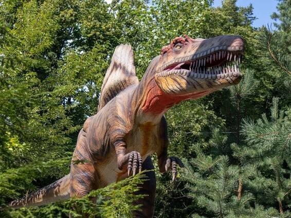 ZOO a DinoPark Vyškov – cesta ze současnosti do druhohor a zpět | PrimaVylety.cz