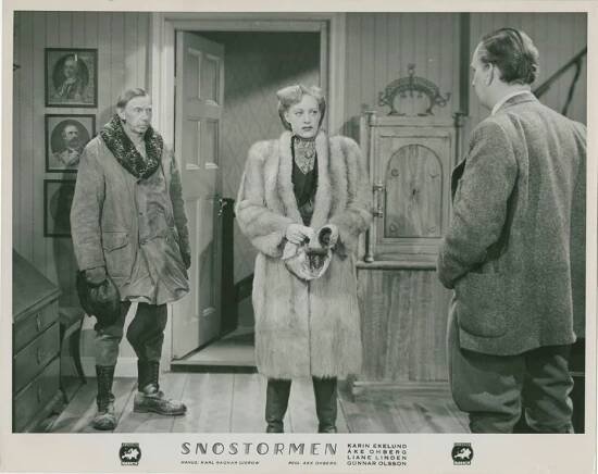 Erik Forslund, Karin Ekelund - Snöstormen - Fotosky