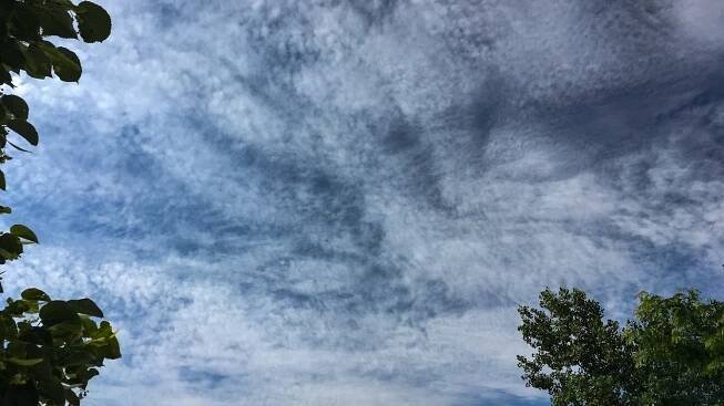 Cirrocumulus stratiformis (Cc str)