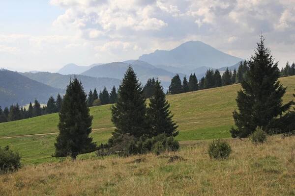 Túra: Uhlisko – Trstená – Kopec – Malatiná – Dol. Kubín | HIKING.SK