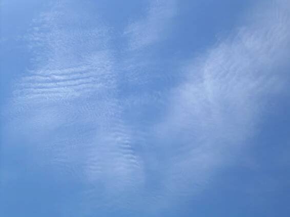 Cirrocumulus