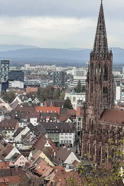 Freiburg: Procházky a procházky historickým centrem Freiburgu.