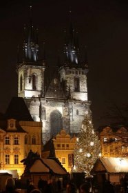 Praha hledá vánoční strom pro Staromák! Za smrk ztepilý odměna 10 tisíc