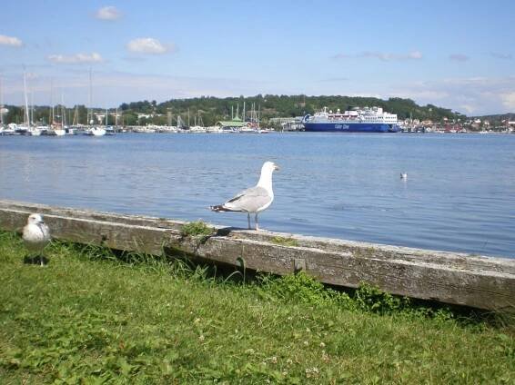 sandefjord