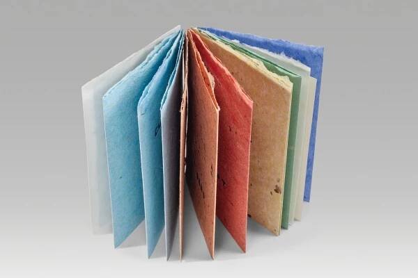 Artists' Books | Aimee Lee