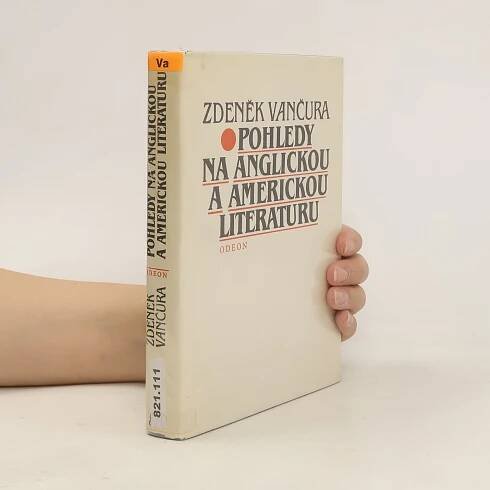 Pohledy na anglickou a americkou literaturu