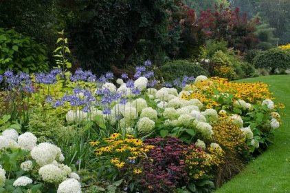 anglická trvalka hranice - květinová zahrado zahradu - stock sn�ímky, obrázky a fotky