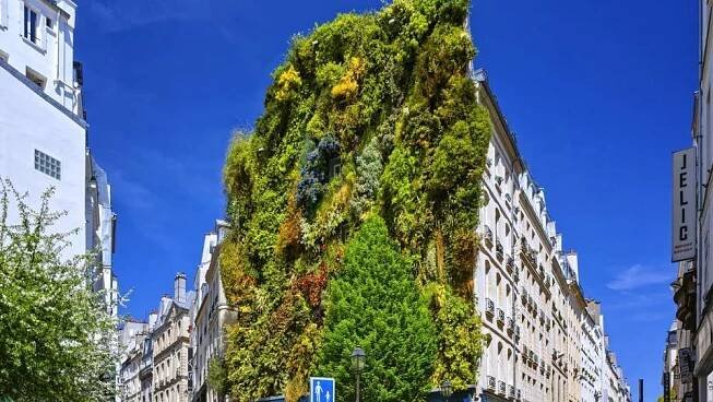 Redesigning for the environment