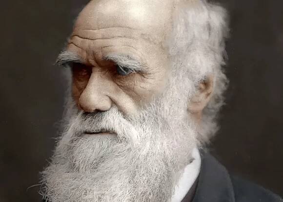 Creationism vs. Evolution: The Debate
